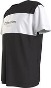 Calvin Klein COLOR BLOCK T-SHIRT Erkek Siyah T-Shirt