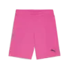 Puma teamGOAL Shorts Erkek Şort