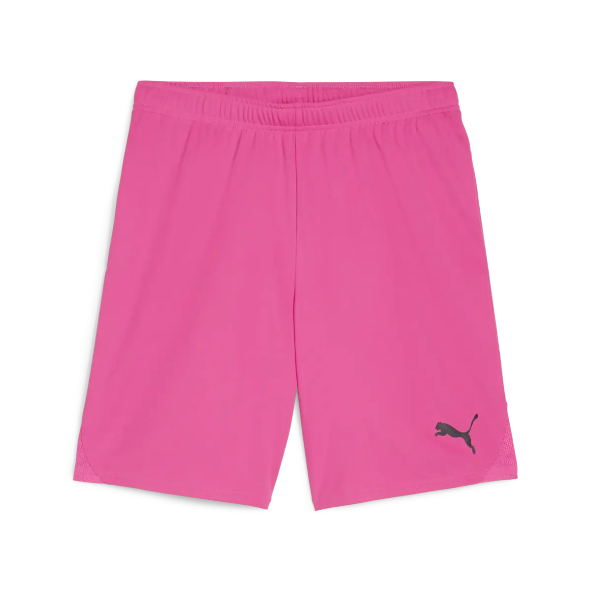 Puma teamGOAL Shorts Erkek Şort