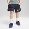 Puma SANDY ADVENTURES Shorts Unisex Şort