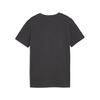 Puma GSK FtblCulture Tee Jr GALATASARAY FtblCulture Çocuk Tişört