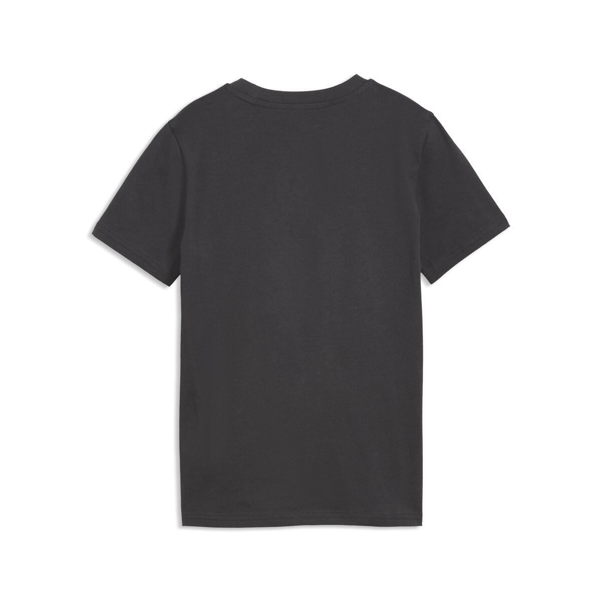 Puma GSK FtblCulture Tee Jr GALATASARAY FtblCulture Çocuk Tişört