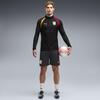 Puma GSK Training 1/4 Zip Top GALATASARAY Erkek Fermuarlı Dar Kesim Antrenman Üstü