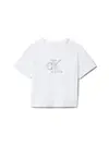 FESTIVE GRAPHIC SS T, YAF