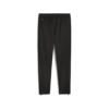 Puma Flex Panelled Tapered Jogger Siyah Erkek Eşofman Altı