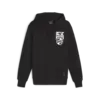 Puma Posterize 2.0 Hoodie Siyah Erkek Sweatshirt