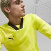 Puma teamTarget GK LS Jersey Sarı Kaleci Uzun Kollu Forma