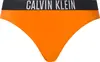 Calvin Klein CLASSIC BIKINI Kadın Turuncu Bikini Altı