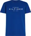Tommy Hilfiger BIG HILFIGER TEE Erkek Mavi T-Shirt