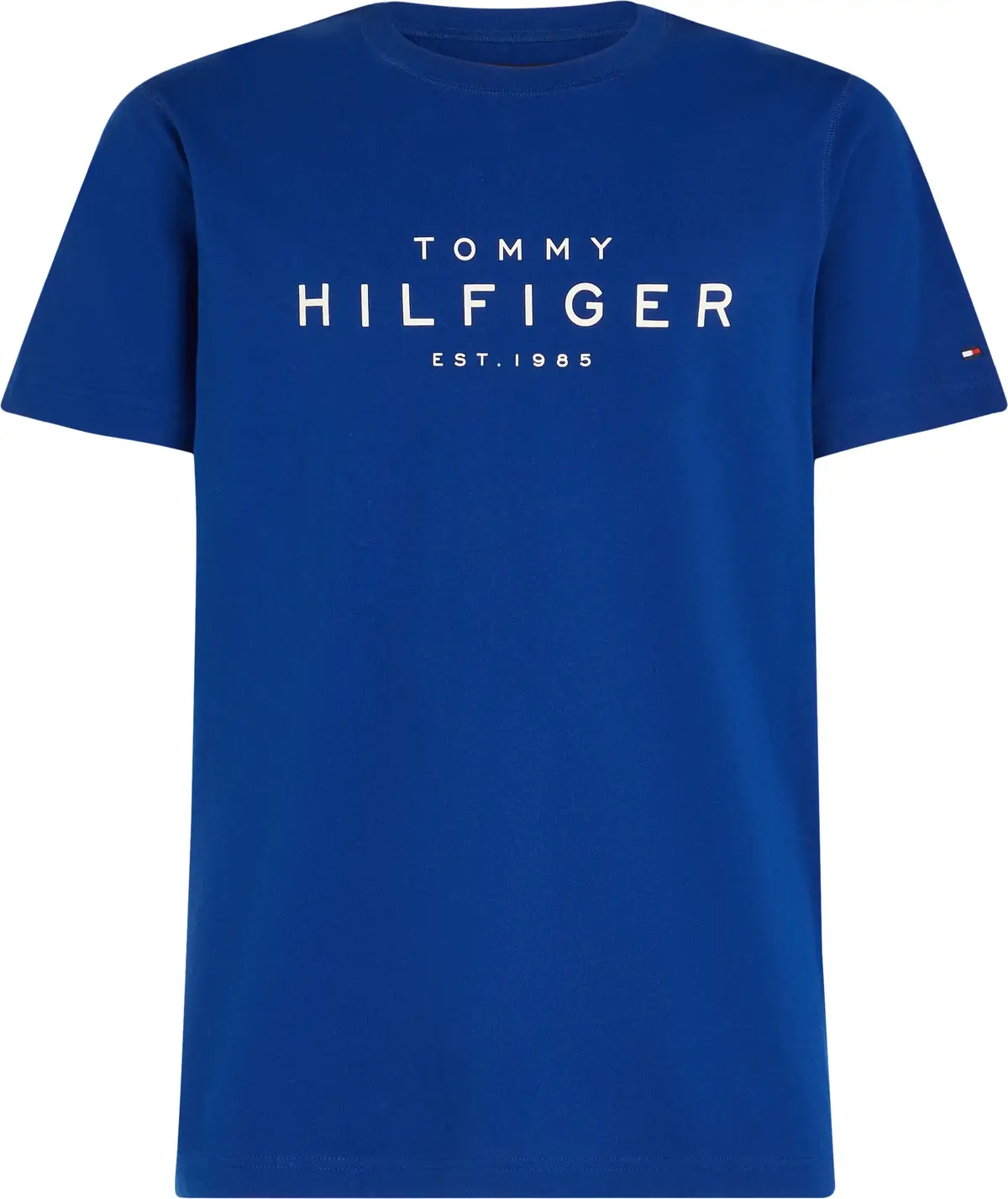 Tommy Hilfiger BIG HILFIGER TEE Erkek Mavi T-Shirt
