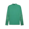 Puma teamCUP Training 1/4 Zip Top Yeşil Erkek Eşofman Üst
