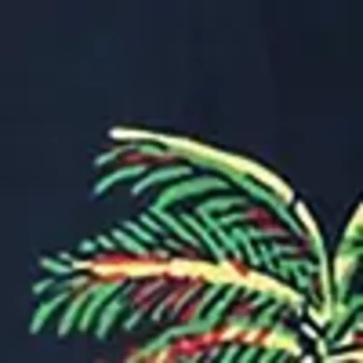 Tommy Hilfiger MEDIUM DRAWSTRING PR, 0YC Siyah Erkek Mayo