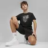 Puma GRAPHICS Year of Sports Tee Siyah Erkek T-Shirt & Polo
