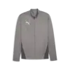 Puma teamGOAL Training Jacket Gri Erkek Antrenman Ceketi