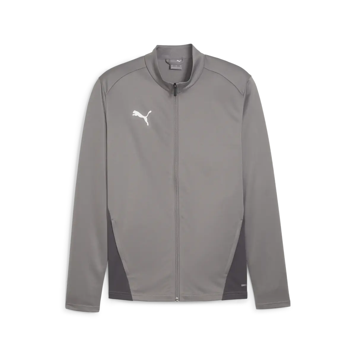 Puma teamGOAL Training Jacket Gri Erkek Antrenman Ceketi