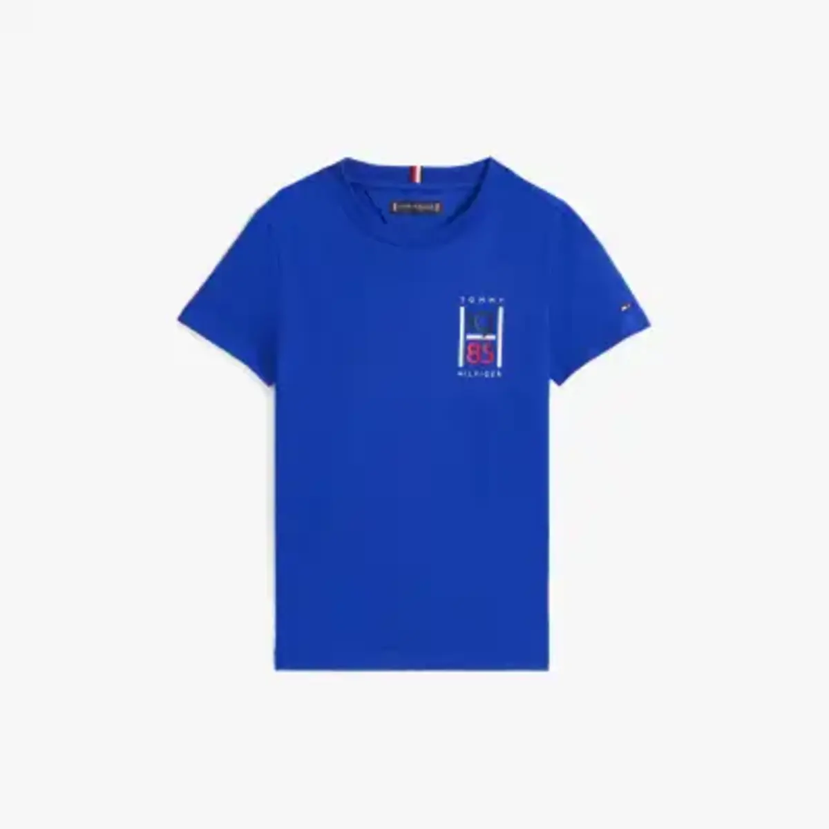 Tommy Hilfiger TH GRAPHIC REG TEE S, D03 Lacivert Erkek T-Shirt & Polo