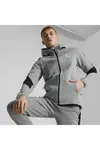 Puma Evostripe Full-Zip Hoodie Gri Erkek Fermuarlı Hoodie