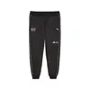 Puma BMW MMS STATEMENT PANTS Siyah Erkek Eşofman Altı