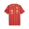 Puma SF Team Soccer Jersey Kırmızı Erkek Forma