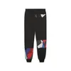 Puma BMW MMS SDS SWEAT PANTS Siyah Erkek Eşofman Altı