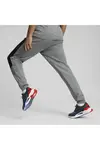 Puma Bmw Mms Sweat Pants, Gri Erkek Eşofman Altı