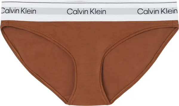 Calvin Klein BIKINI Kadın Kahverengi Bikini Külot