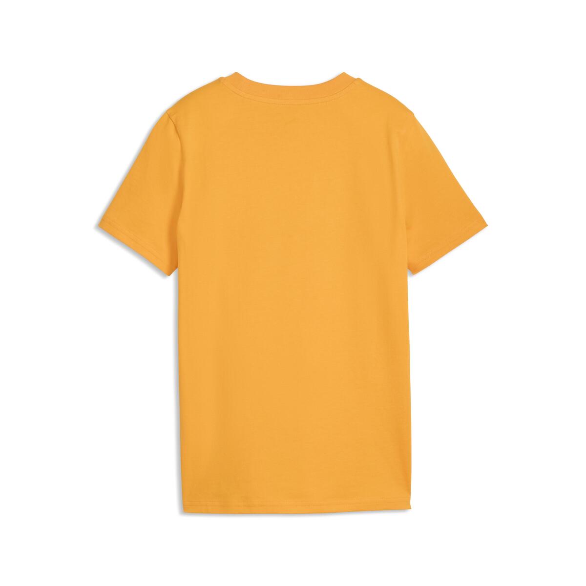 Puma GSK FtblCulture Tee Jr GALATASARAY FtblCulture Çocuk Tişört