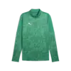 Puma teamCUP Training 1/4 Zip Top Yeşil Erkek Eşofman Üst