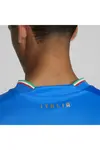 Puma Fıgc İç Saha Forması Ignite Blue Erkek Takım Forması