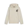 Puma ESS+ MID 90S Hoodie TR Erkek Sweatshirt