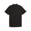 PUMA AMF1 Essential Polo Siyah Erkek T-Shirt & Polo