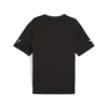 Puma BMW MMS Block Tee Siyah Erkek T-Shirt
