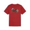 PUMA X ONE PIECE Graphic Tee Bordo Erkek T-Shirt