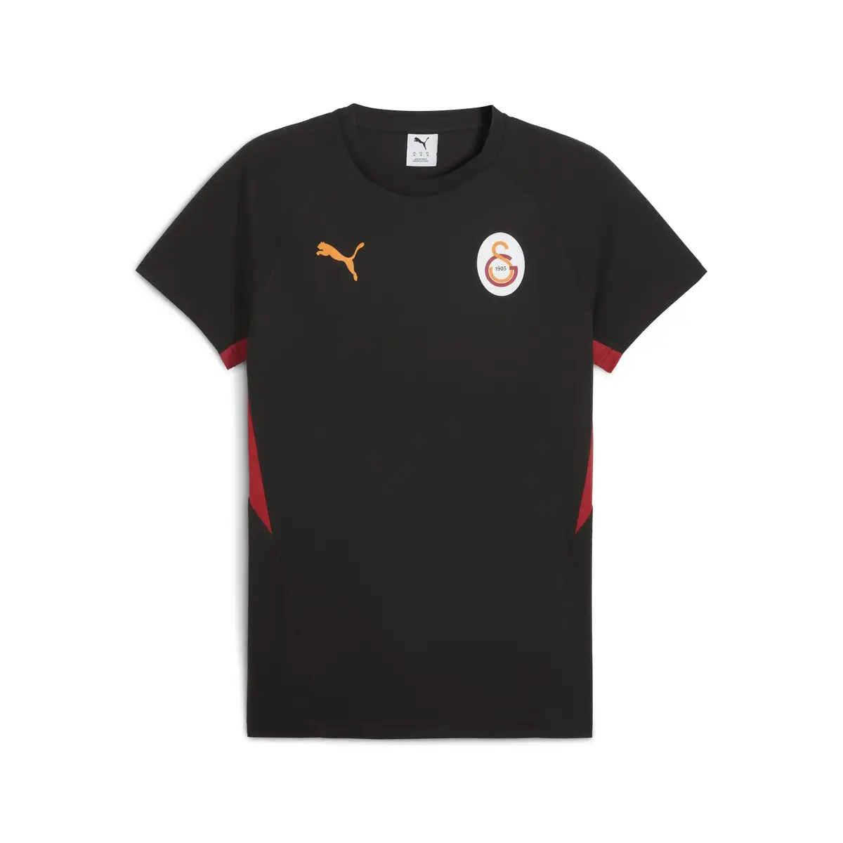 Puma GSK EVOSTRIPE Tee Siyah Erkek T-Shirt