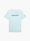 Calvin Klein INSTITUTIONAL T-SHIR Erkek Mavi T-Shirt