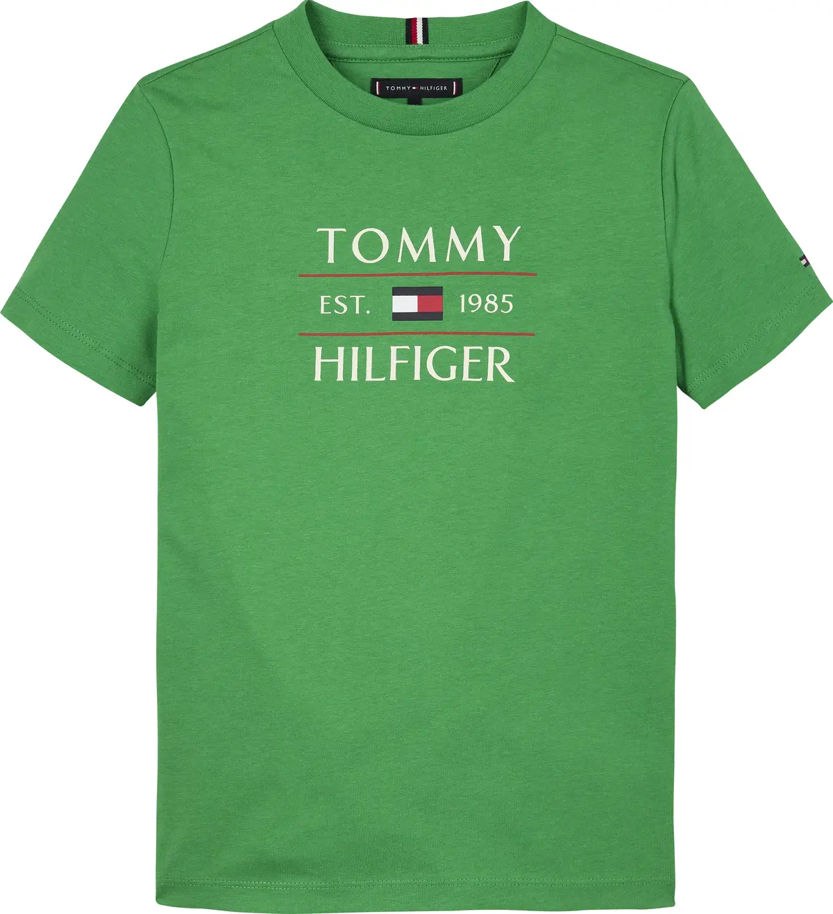 Tommy Hilfiger TOMMY FLAG HILFIGER, L13 Yeşil Erkek Çocuk T-Shirt & Polo