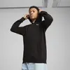 Puma ESS Full-Zip Hoodie Siyah Erkek Sweatshirt