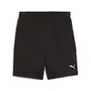 Puma EVOSTRIPE Shorts DK Siyah Erkek Şort