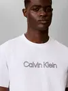 Calvin Klein SS 20s EU SPW HD SHI Beyaz Erkek Tişört