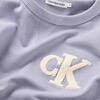 Calvin Klein TOWELLING MONO CN SW Erkek Lila Sweatshirt