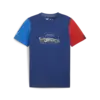Puma BMW MMS ESS Graphic Tee Mavi Erkek T-Shirt