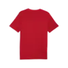 Puma GRAPHIC Tee Erkek T-Shirt & Polo