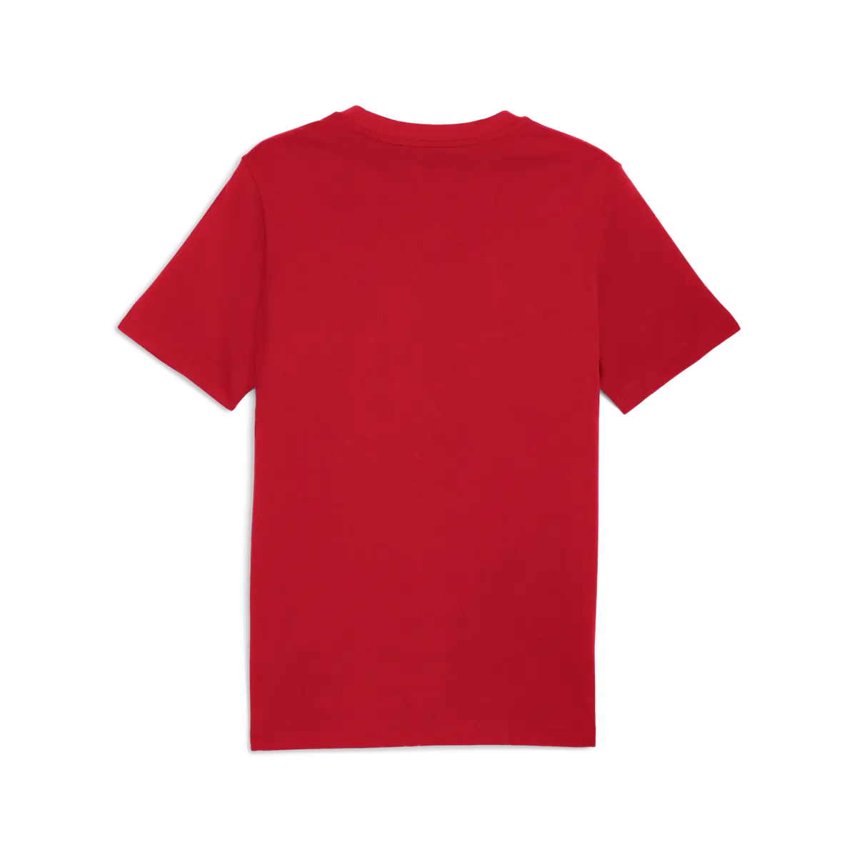 Puma GRAPHIC Tee Erkek T-Shirt & Polo