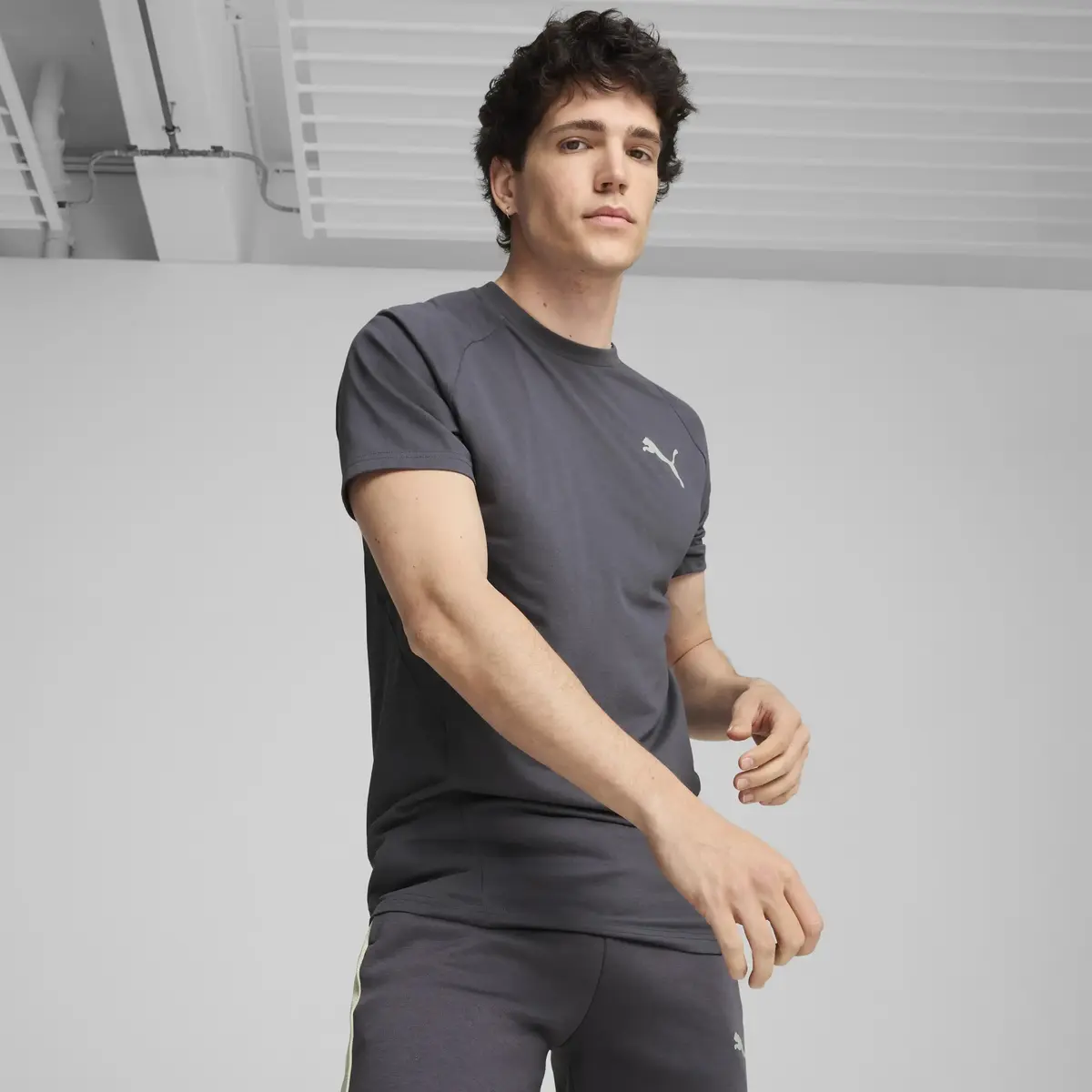 Puma EVOSTRIPE Tee Koyu Gri Erkek T-Shirt