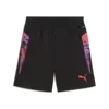 Puma individualCUP Shorts Erkek Şort