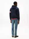 Tommy Hilfiger RWB INSERT HOODIE, DW5 Siyah Erkek Sweatshirt