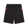 Puma individualCUP Shorts Erkek Şort