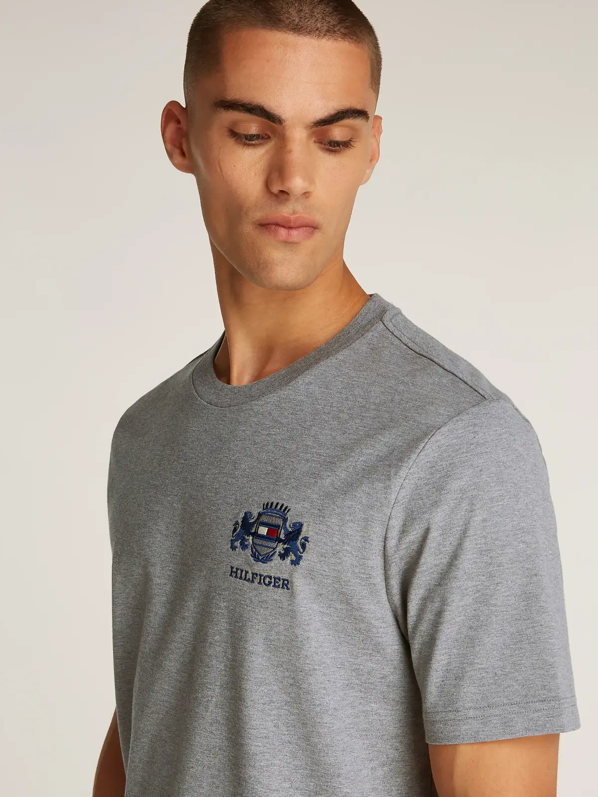 HILFIGER SMALL CREST, P91