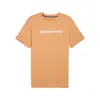 Puma AMG Logo Tee Turuncu Erkek T-Shirt