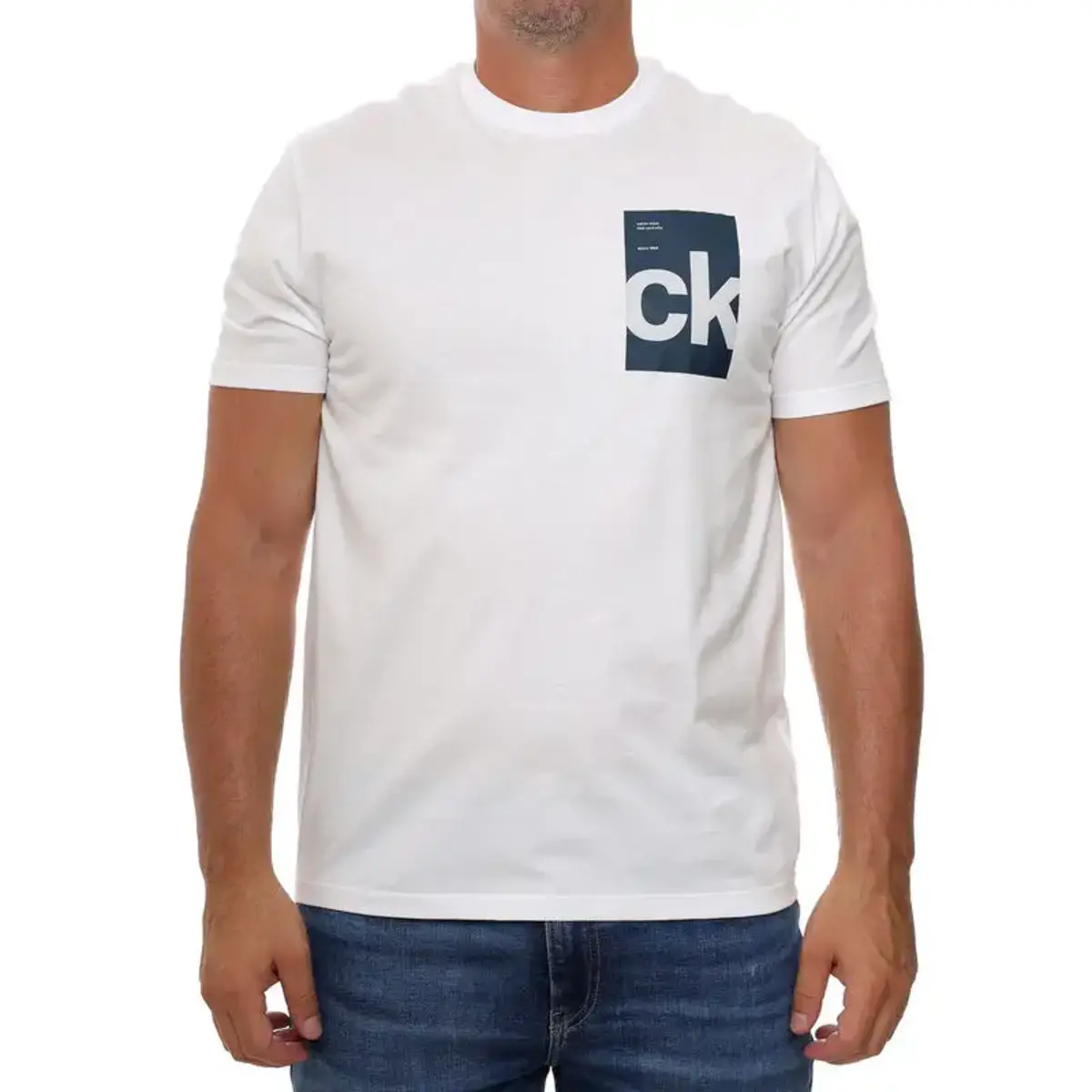 Calvin Klein SS 30s EU BH BOX GRAPHIC TEE Beyaz Erkek Tişört